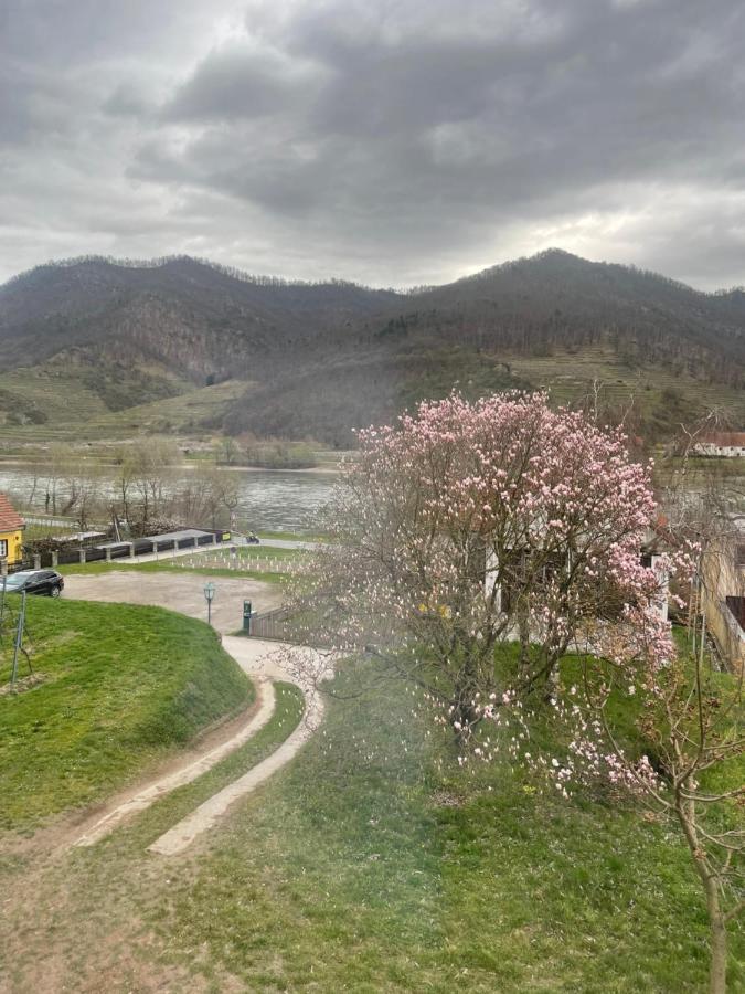 Top Ferienhaus Bei Spitz / Wachau Schwallenbach Exterior photo